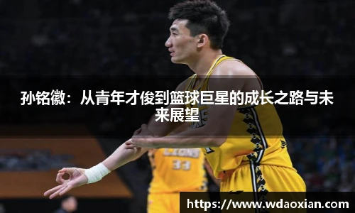 孙铭徽：从青年才俊到篮球巨星的成长之路与未来展望