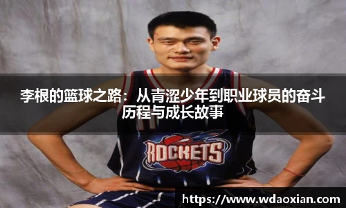 emc易倍体育
