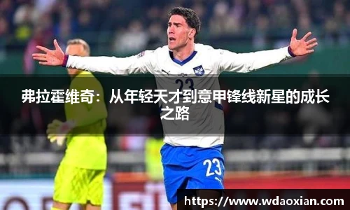 弗拉霍维奇：从年轻天才到意甲锋线新星的成长之路
